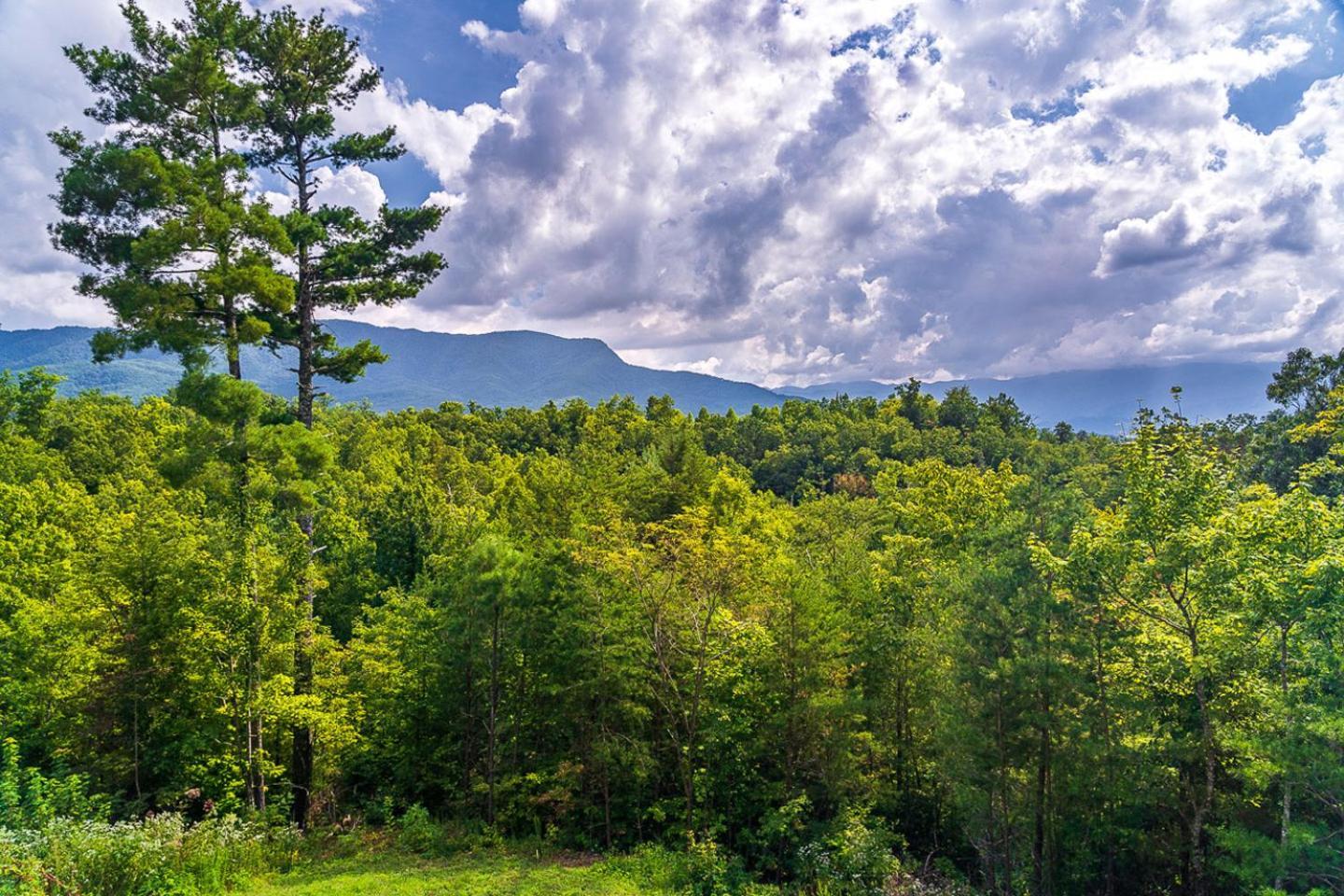 Big Bear Ridge Lodge - Breathtaking Mountain Views And Private Forest Scenes In Amazing Large Log Cabin Gatlinburg Exterior foto